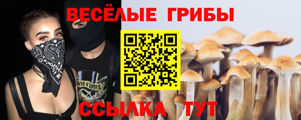 Лосино-Петровский  Галлюциногенные грибы MAGIC MUSHROOMS  как найти наркотики  Галлюциногенные грибы Cubensis  Вход с VPN 